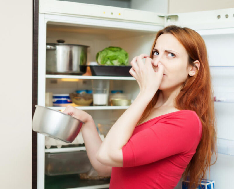 Conservação de alimentos: o que vale a pena levar?