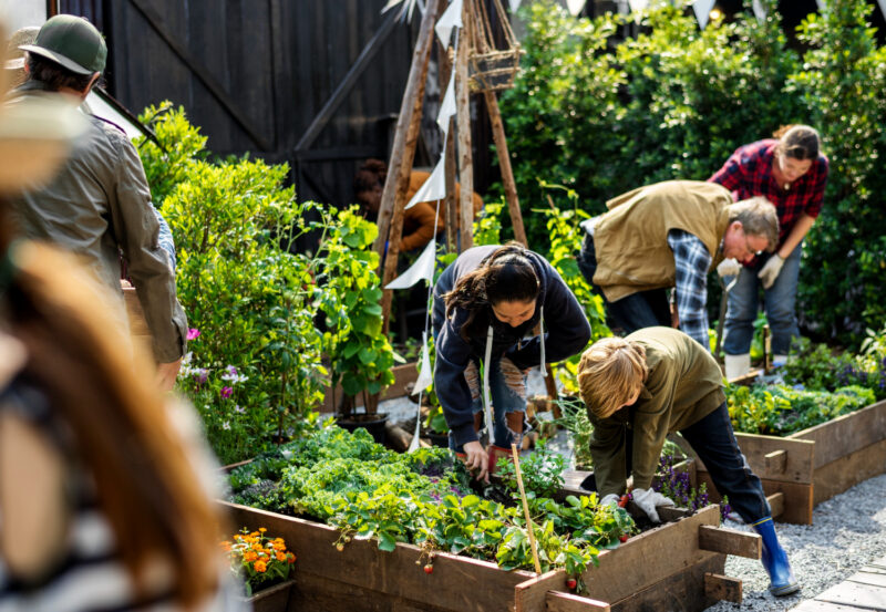 Iniciar um Projeto de Jardinagem Comunitária