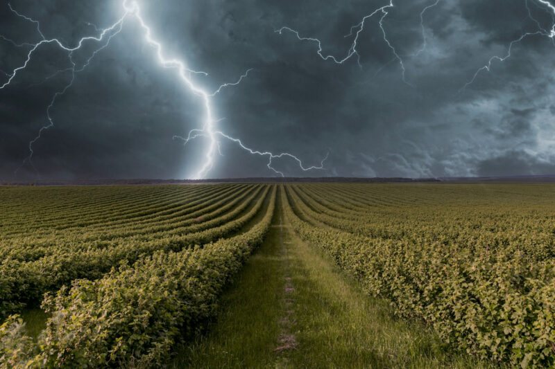 O Impacto da Previsão do Tempo na Agricultura